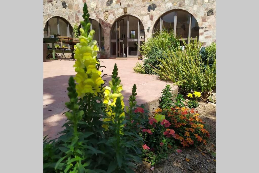 Eilat Stone - Patio אבן אילת - פטיו Apartamento Exterior foto
